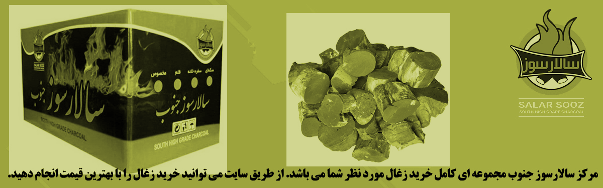 زغال لیمو سکه ای