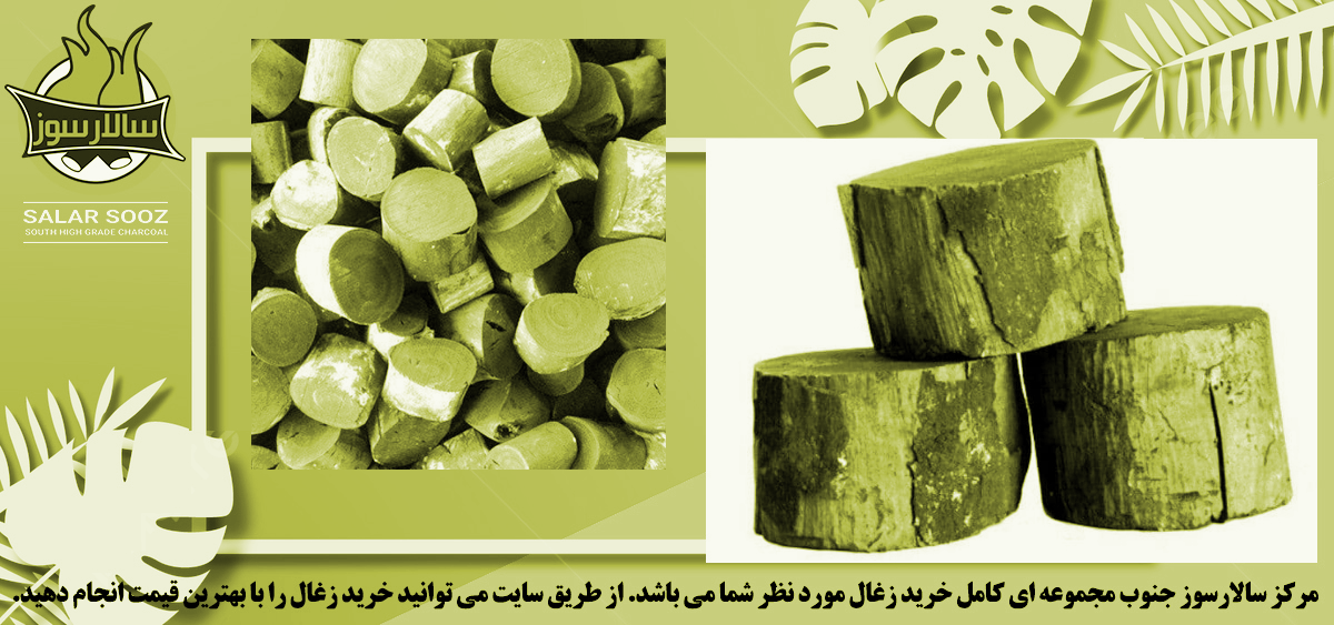 زغال لیمو سکه ای